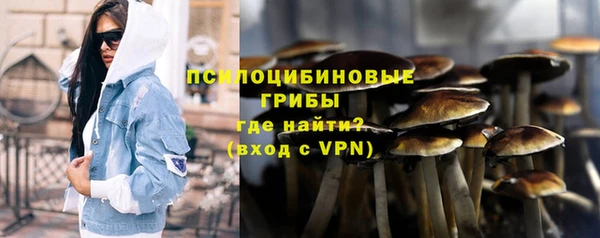 apvp Магас