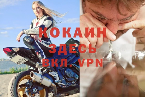 apvp Магас