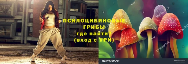 apvp Магас