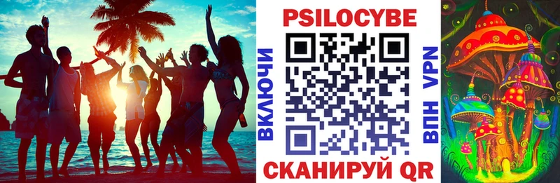 Псилоцибиновые грибы мицелий  Плавск 